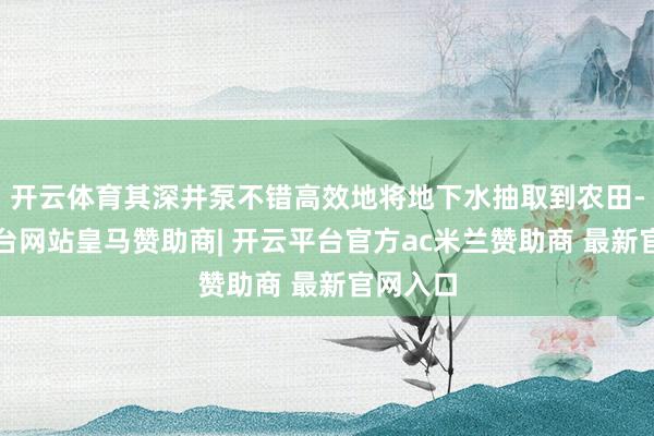 开云体育其深井泵不错高效地将地下水抽取到农田-开云平台网站皇马赞助商| 开云平台官方ac米兰赞助商 最新官网入口